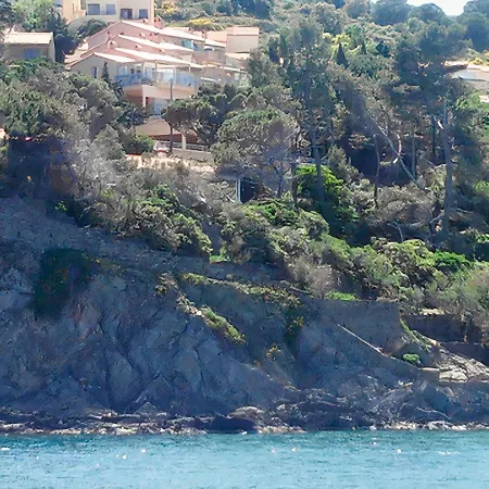 Le Grand Large Studio/cabine Sur Crique * Collioure
